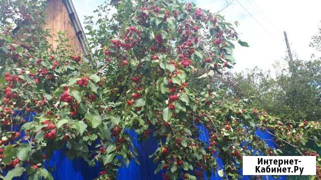 Дача 30 м² на участке 13 сот. на продажу в Чите Чита - изображение 1