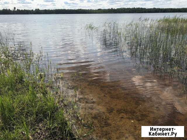 Участок ИЖС 30 сот. на продажу на Лугах Луга - изображение 1
