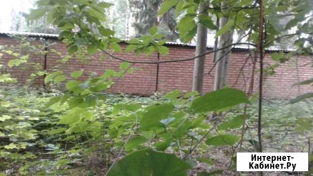Участок ИЖС 31 сот. на продажу в Кратово Кратово - изображение 1