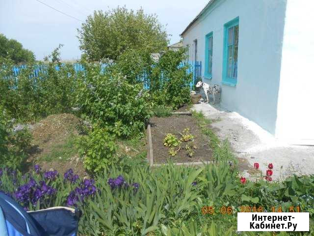 Дом 64 м² на участке 20 сот. на продажу в Дорогино Дорогино - изображение 1