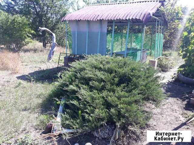 Участок СНТ, ДНП 6 сот. на продажу в Ростове-на-Дону Ростов-на-Дону - изображение 1