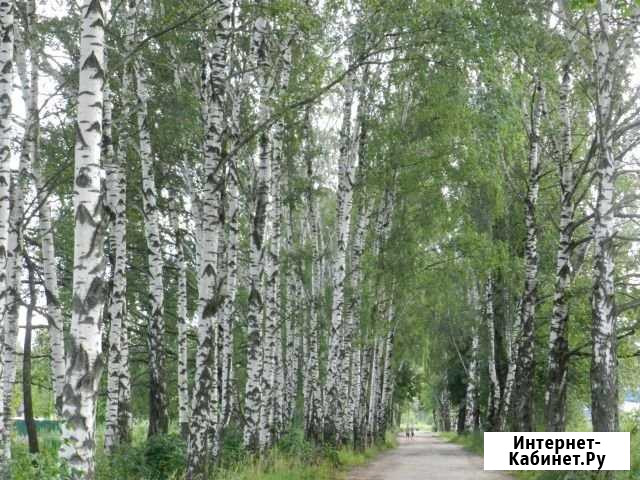 Участок ИЖС 15 сот. на продажу в Редкино Редкино - изображение 1