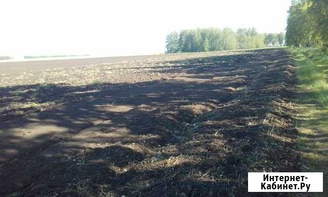 Участок СНТ, ДНП 1100 сот. на продажу в Ордынском Ордынское - изображение 1