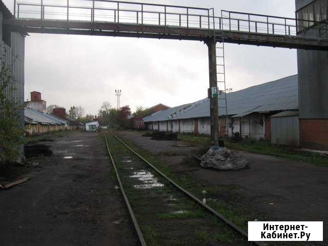 Участок промназначения 5 сот. в аренду в Пушкино Пушкино - изображение 1
