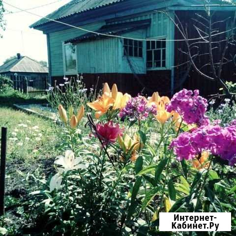 Дом 50 м² на участке 12 сот. на продажу в Краснобродском Краснобродский - изображение 1