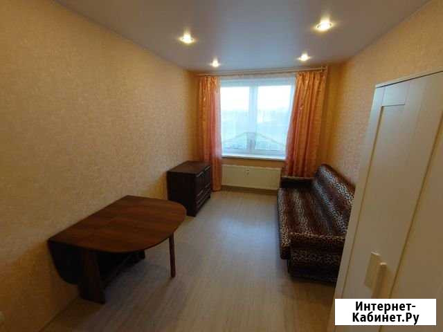 1-комнатная квартира, 31 м², 5/12 эт. в аренду на длительный срок в Кудрово Кудрово - изображение 1
