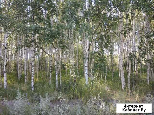 Участок СНТ, ДНП 25 сот. на продажу в Линде Линда - изображение 1