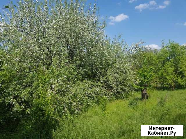 Участок СНТ, ДНП 8 сот. на продажу в Краснодаре Краснодар - изображение 1