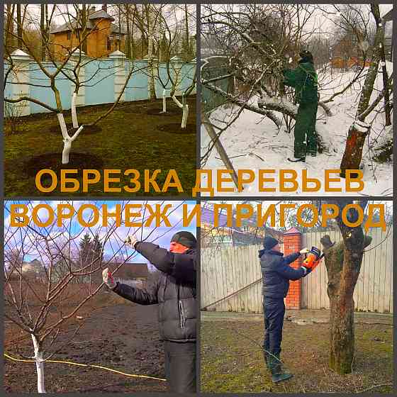 Обрезка плодовых деревьев Воронеж Воронеж