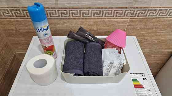 Квартира-студия, 46 м², 7/12 эт. в аренду посуточно в Абакане Абакан