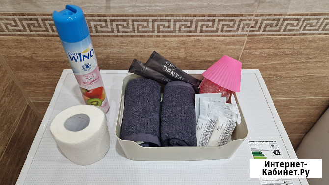 Квартира-студия, 46 м², 7/12 эт. в аренду посуточно в Абакане Абакан - изображение 4