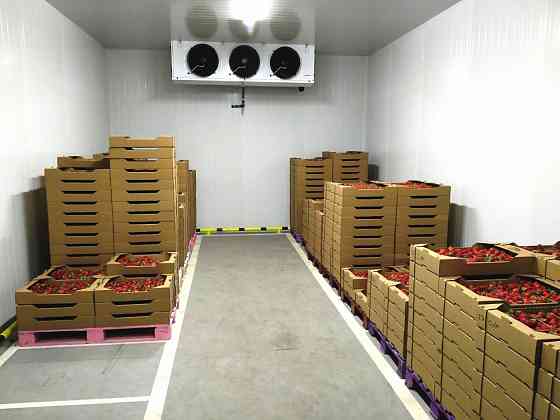 Холодильные установки "Bitzer" для овощей и фруктов. Монтаж под "Ключ" с гарантией Симферополь