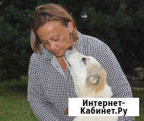 Щенки среднеазиатской овчарки от проверенного производителя Раменское - изображение 2