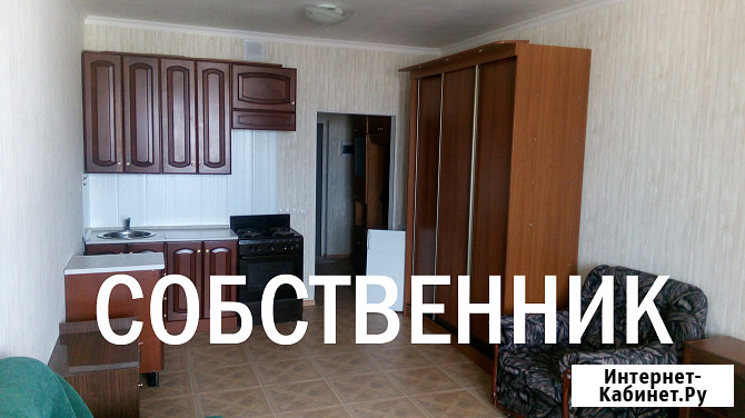 Квартира-студия, 30 м², 5/17 эт. в аренду на длительный срок в Сергиевом Посаде Сергиев Посад - изображение 1