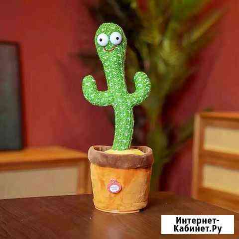 Танцующий Кактус поёт, танцует Курган