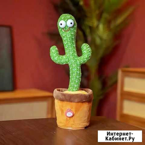 Танцующий Кактус поёт, танцует Курган - изображение 1