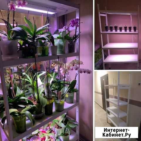 Стеллаж для растений с светодиодными Фитолампами Улан-Удэ - изображение 1