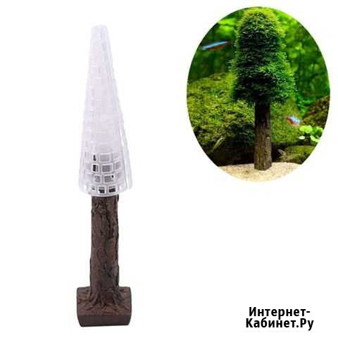 Дерево для наращивания мхов Кирово-Чепецк - изображение 1