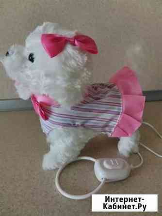 Игрушка Интерактивная собака. Ходит на поводке, ла Ростов-на-Дону