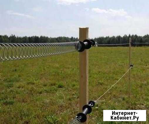 Электропастух Балтаси - изображение 1