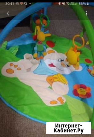 Развивающий коврик Оренбург - изображение 1