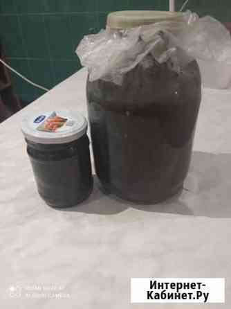 Сакская грязь для суставов Воронеж