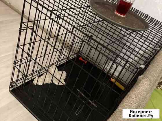 Клетка для собак вольер Новокузнецк