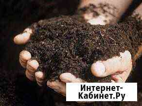 Навоз сыпец Изобильный