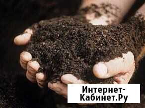 Навоз сыпец Изобильный - изображение 1