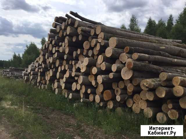 Бригады в лес Пронск - изображение 1