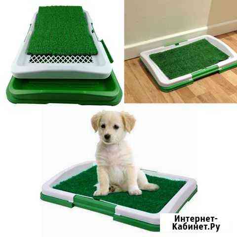 Туалет для собак Puppy Potty Воронеж