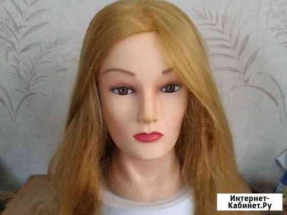 Голова учебная, манекен Рязань