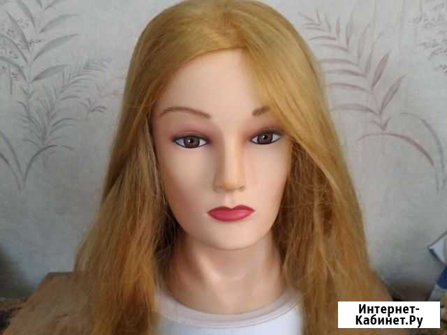 Голова учебная, манекен Рязань - изображение 1