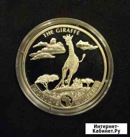 Жираф 2019. Конго. Серебро Волгоград