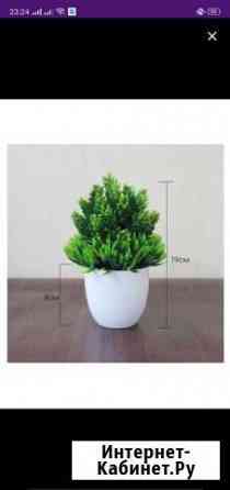 Декоративные растения Балашиха