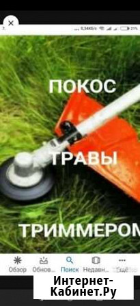 Скашывание тровы Энгельс - изображение 1
