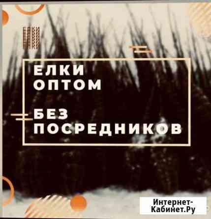 Новогодняя Елка Ель Сосна опт Троицк