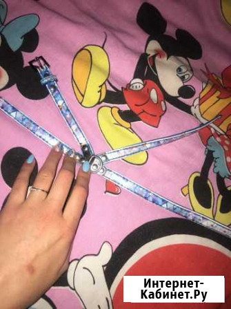 Продам шлейку на собаку Воронеж - изображение 1