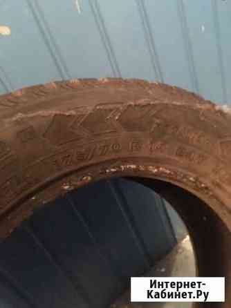 Nokian 175/70 R14 1шт Череповец