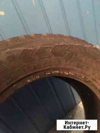 Nokian 175/70 R14 1шт Череповец