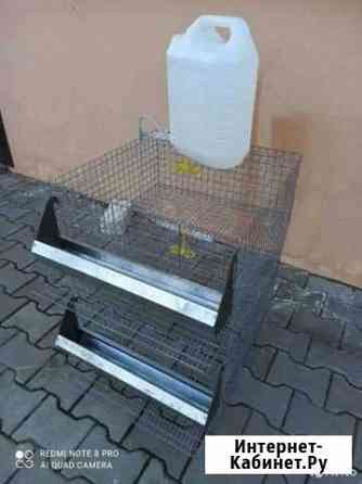 Новые клетки для перевелов Владимир