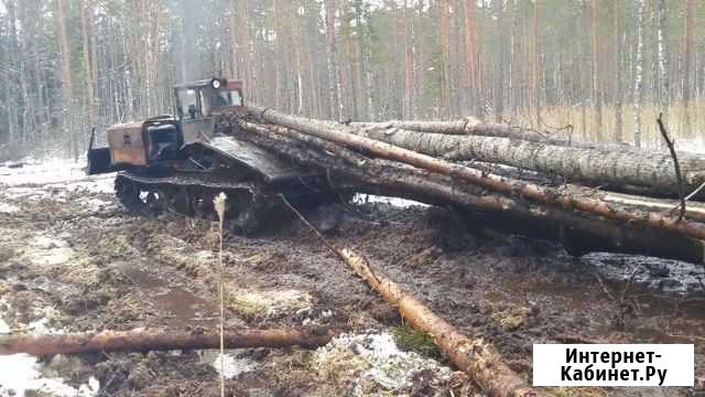 Услуги лесозаготовки Нижняя Тура - изображение 1