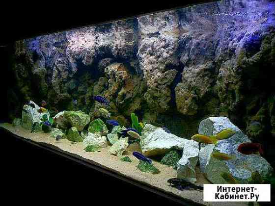 3D фон для аквариума, террариума паллюдариума Мытищи