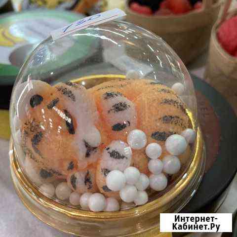 Мыльные тигрята 2022 год Челябинск