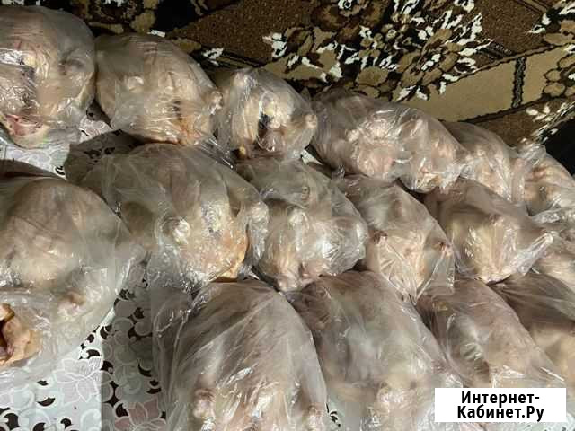 Куры бройлеры Саранск - изображение 1