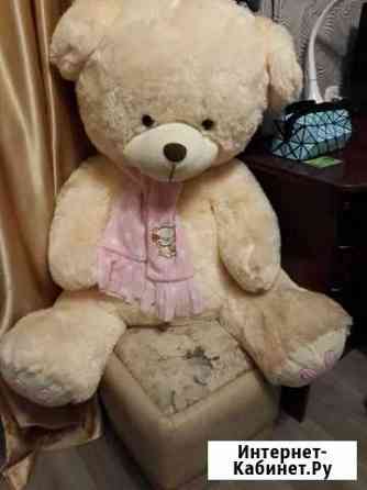 Плюшевый медведь Великий Новгород