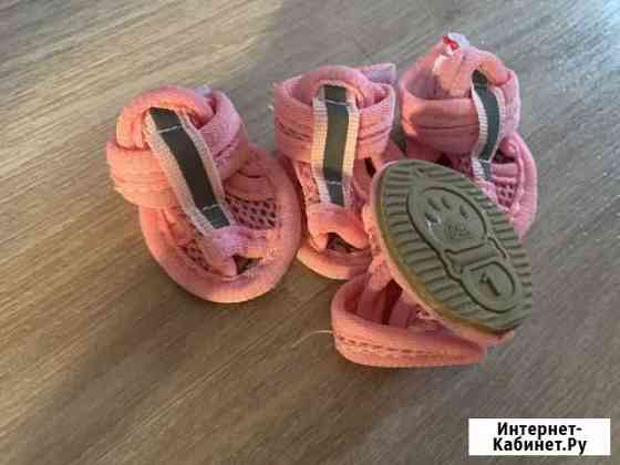 Обувь для собак Новокузнецк