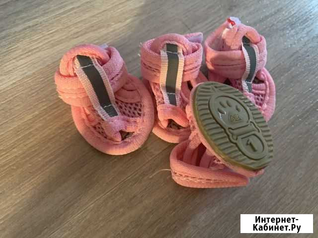 Обувь для собак Новокузнецк - изображение 1