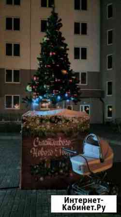 Коляска 3/1 Калининград