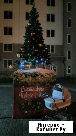 Коляска 3/1 Калининград - изображение 1